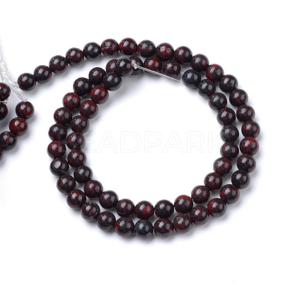 Natural Bloodstone Beads Strands G-R412-06-10MM-1