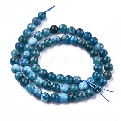Natural Apatite Beads Strands G-O186-E02-6mm-1