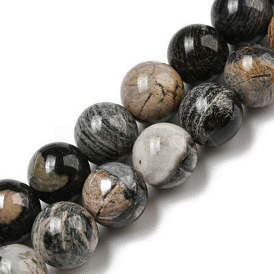 Natural Black Silver Leaf Jasper Beads Strands G-R494-A17-03-1