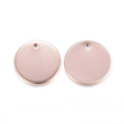 304 Stainless Steel Charms STAS-G122-23-1