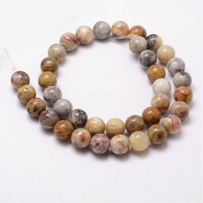 Natural Crazy Lace Agate Beads Strands G-D840-70-12mm-1