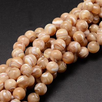 Natural Sea Shell Beads Strands SSHEL-K013-8mm-B-1