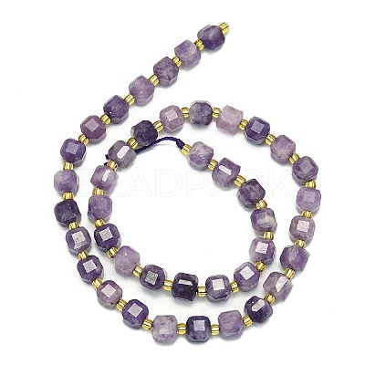 Natural Lepidolite/Purple Mica Stone Beads Strand G-I376-D34-01-1