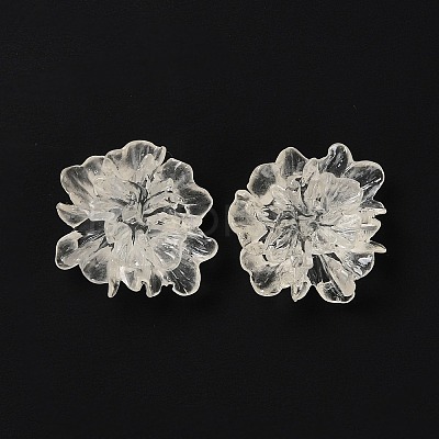 Transparent Resin Cabochons X-RESI-G027-01A-1