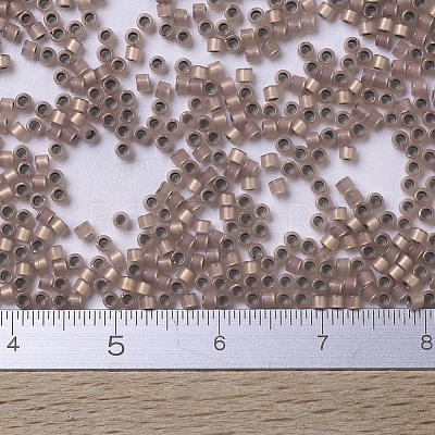 MIYUKI Delica Beads Small X-SEED-J020-DBS0191-1