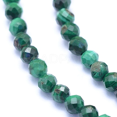 Natural Malachite Beads Strands G-I279-E15-02-1
