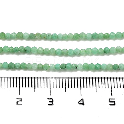 Natural Chrysoprase Beads Strands G-B088-C19-02-1