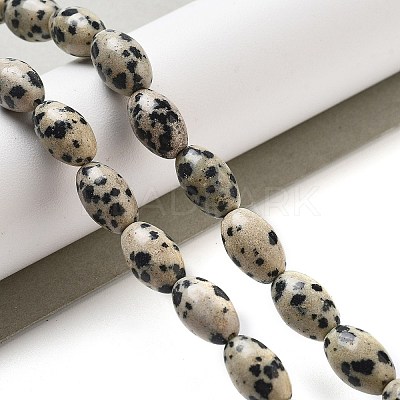 Natural Dalmatian Jasper Beads Strands G-B106-B20-01-1