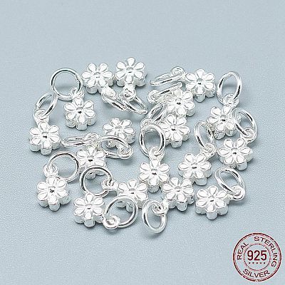 925 Sterling Silver Charms STER-T002-104S-1