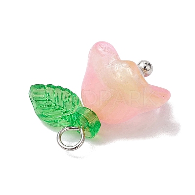 Mixed Color Glass Pearl & Acrylic Charms PALLOY-JF02567-01-1