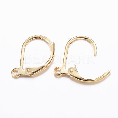 304 Stainless Steel Leverback Earring Findings STAS-P166-12G-1