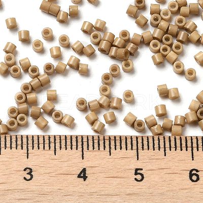 Baking Paint Glass Seed Beads X-SEED-S042-05B-40-1