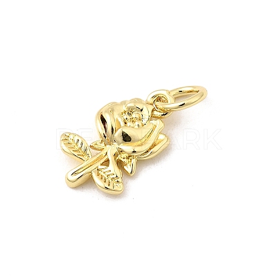 Brass Pendants KK-I364-44G-1
