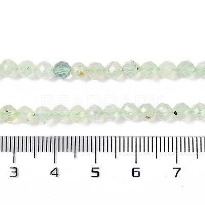 Natural Prehnite Beads Strands LS-G-G139-A05-03-1