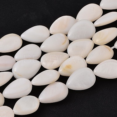 Natural White Shell Beads Strands X-PBB263Y-1-1