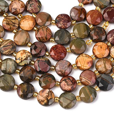 Natural Picasso Jasper/Polychrome Jasper Beads Strands G-C116-A118-01-1