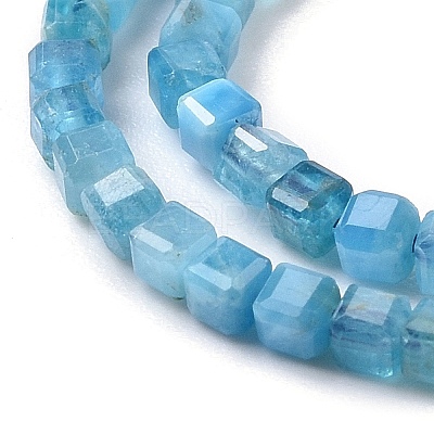 Natural Apatite Beads Strands G-P457-B01-14A-1