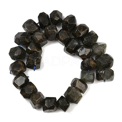 Natural Labradorite Beads Strands G-F796-D05-01-1