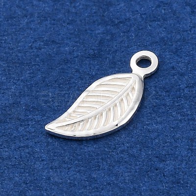 925 Sterling Silver Charms STER-D301-04S-04-1