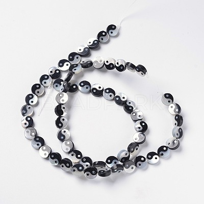 Feng Shui White Shell Bead Strands SSHEL-H066-02-1