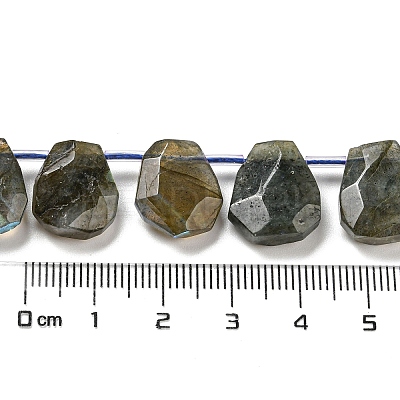 Natural Labradorite Beads Strands G-Z040-A03-01-1