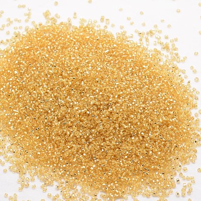 6/0 Round Glass Seed Beads SEED-J018-F6-62-1