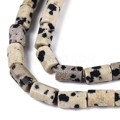 Natural Dalmatian Jasper Beads Strands GG-N002-01A-07-1
