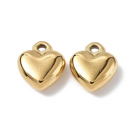 Ion Plating(IP) 304 Stainless Steel Charms STAS-C066-16G-1