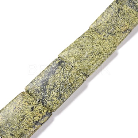 Natural Serpentine/Green Lace Stone Beads Strands G-P469-01-1