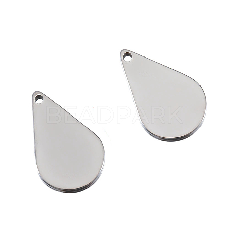 Stainless Steel Charms PW-WG31F01-02-1