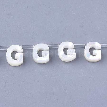 Natural Sea Shell Beads SHEL-T012-60G-1