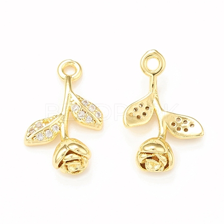 Brass Micro Pave Cubic Zirconia Charms KK-P228-42G-1