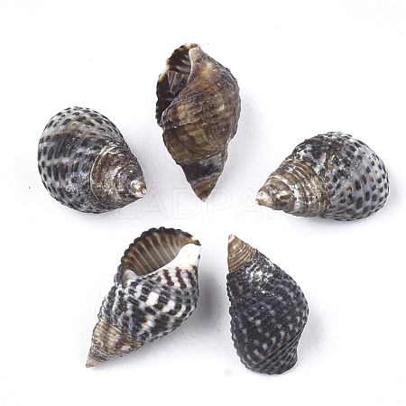 Spiral Shell Beads SSHEL-S258-41-1