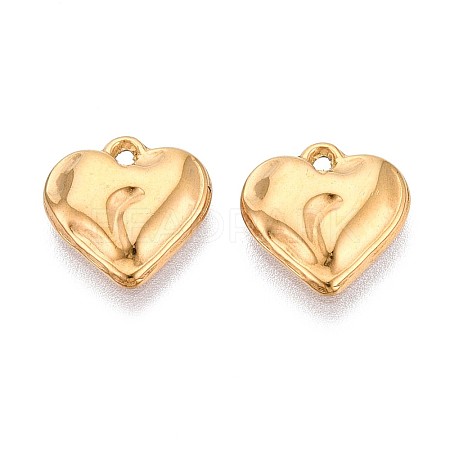 304 Stainless Steel Charms STAS-T065-24B-G-1