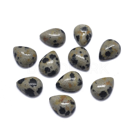 Natural Dalmatian Jasper Cabochons G-O175-22-11-1