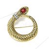 Alloy Rhinestone Brooch for Backpack Clothes PW-WGD2E9A-01-2