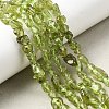 Natural Peridot Beads Strands G-H346-A01-01-1