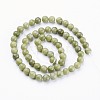 Natural Gemstone Beads GSR6mmC032-5