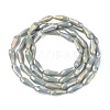 Electroplated Opaque Glass Beads Strands EGLA-L015-FR-B19-01-3