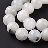 Natural Rainbow Moonstone Beads Strands G-I249-B04-03-6