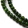 Natural Freshwater Shell Beads Strands SHEL-H003-03A-3