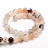 Natural Dendritic Agate Round Beads Strands G-E321C-8mm-01-2