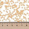TOHO Round Seed Beads SEED-TR08-0391-4