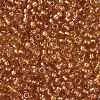 TOHO Round Seed Beads X-SEED-TR08-1853-2