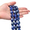 Natural Lapis Lazuli Beads Strands G-K311-09C-2