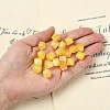 Resin Beads RESI-YW0004-74G-1