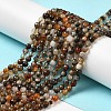 Natural Agate Beads Strands X-G-H302-A01-03-2