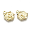 Alloy Pendants PALLOY-N157-003S-NR-2
