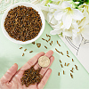 3000Pcs Glass Bugle Beads SEED-PA0001-13A-3