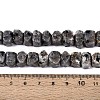 Natural Syenite Beads Strands G-N327-05-27-5